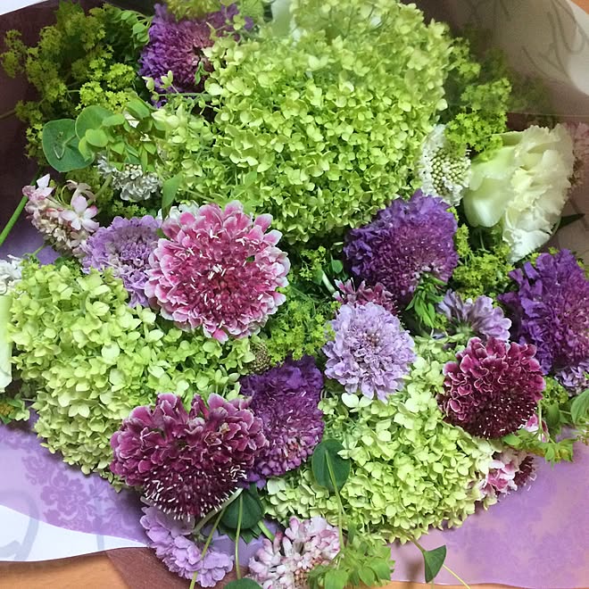 宇都宮 花亀 紫陽花 花のある暮らし 花束 ୭ プレゼントのインテリア実例 17 06 09 44 Roomclip ルームクリップ 宇都宮 花亀 紫陽花 花のある暮らし 花束 ୭ プレゼントのインテリア実例 17 06 09 44 Roomclip ルームクリップ