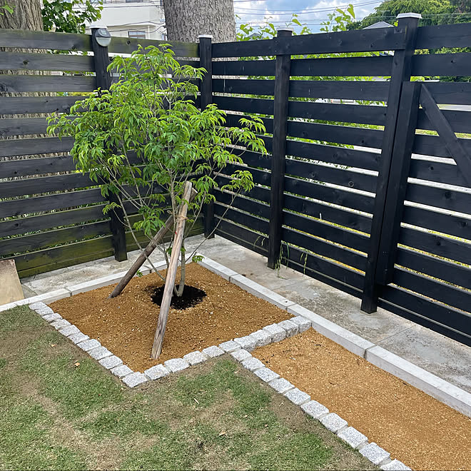 シンボルツリー ウッドフェンスdiy 高麗芝 ピンコロ石 ローコスト住宅 などのインテリア実例 22 06 05 45 24 Roomclip ルームクリップ シンボルツリー ウッドフェンスdiy 高麗芝 ピンコロ石 ローコスト住宅 などのインテリア実例 22 06 05 45 24 Roomclip ルームクリップ