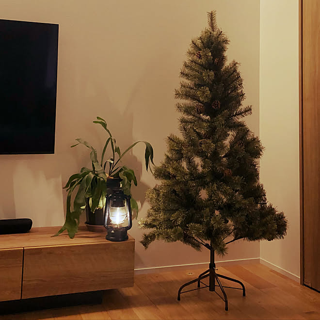 クリスマスツリー/アルザスツリー150㎝/植物のある暮らし/くつろぎ空間 クリスマスツリー/アルザスツリー150㎝/植物のある暮らし/くつろぎ空間