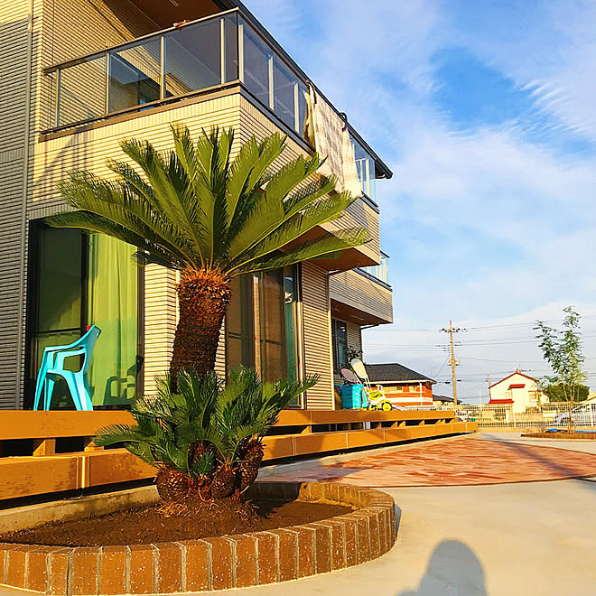 ソテツ ウッドデッキ 一条工務店 カリフォルニアスタイル カリフォルニアインテリアに憧れる などのインテリア実例 17 10 09 22 34 25 Roomclip ルームクリップ