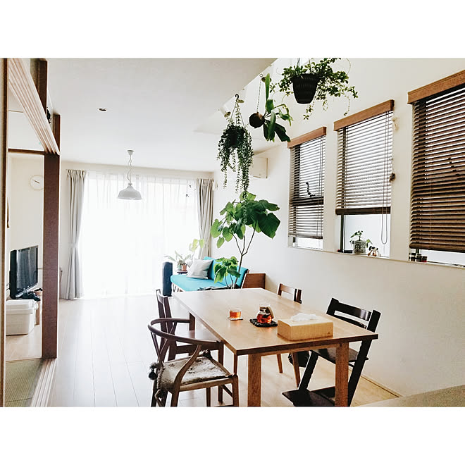 部屋全体/タチカワブラインド/GE258/コウモリラン/無垢テーブル...などのインテリア実例 - 2020-02-14 23:17:34