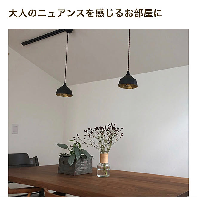 壁 天井 ダクトレール ペンダントライト Futagami Roomclip Mag などのインテリア実例 19 01 16 10 35 15 Roomclip ルームクリップ