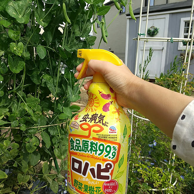 玄関 入り口 ガーデニング 植物のある暮らし 害虫対策 アースガーデン などのインテリア実例 21 04 27 16 10 40 Roomclip ルームクリップ