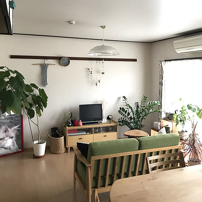 リビング 観葉植物 団地 ウンベラータ 自分好みのインテリア実例 18 10 04 09 48 24 Roomclip ルームクリップ