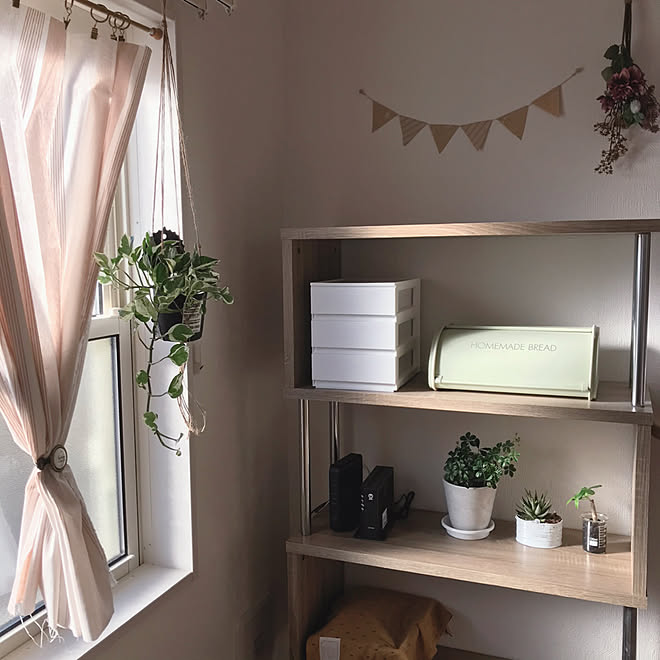 観葉植物初心者 ハンギングプランター ポトス 建売住宅 こどものいる暮らし などのインテリア実例 12 18 14 40 12 Roomclip ルームクリップ 観葉植物初心者 ハンギングプランター ポトス 建売住宅 こどものいる暮らし などのインテリア実例 12 18 14 40 12 Roomclip ルームクリップ