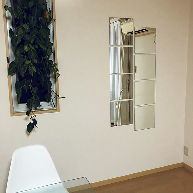 壁 天井 吊るし観葉植物 ポトス 賃貸 二人暮らし などのインテリア実例 18 09 04 00 28 40 Roomclip ルームクリップ