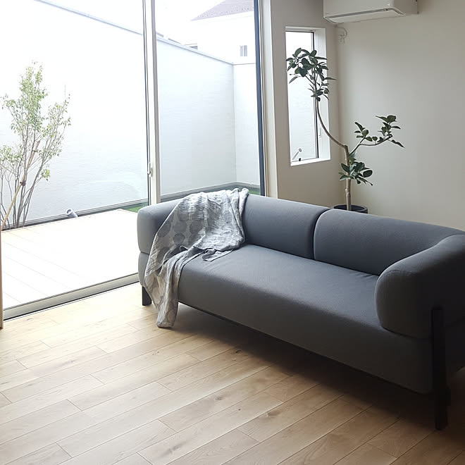 リビング ソファ グレー カリモクニュースタンダード 中庭のある家 などのインテリア実例 2019 06 30 13 50 46 Roomclip ルームクリップ