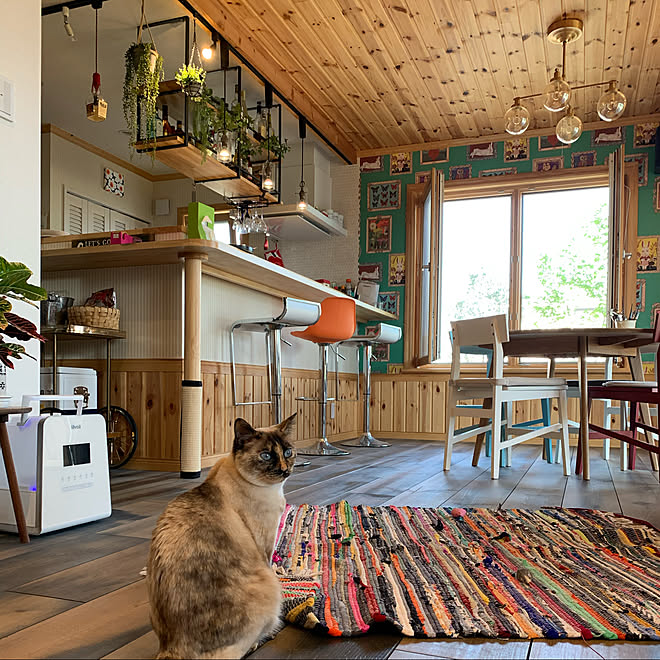 BARカウンター/ねこのいる日常/北欧住宅 /猫と暮らす家/ねこと暮らす&hellip;などのインテリア実例 20200510 232123