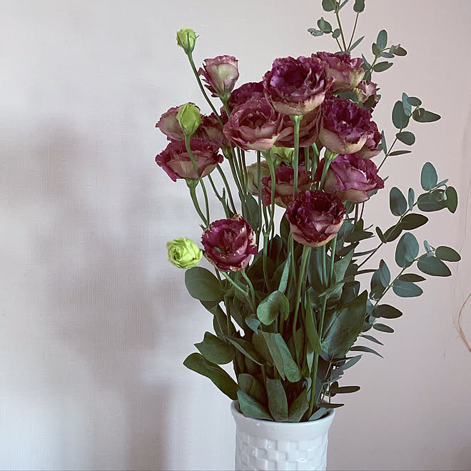 ユーカリ トルコキキョウ 植物のある暮らし 生花のある暮らし 花のある暮らし などのインテリア実例 07 24 21 32 28 Roomclip ルームクリップ ユーカリ トルコキキョウ 植物のある暮らし 生花のある暮らし 花のある暮らし などのインテリア実例 07 24 21 32 28 Roomclip ルームクリップ