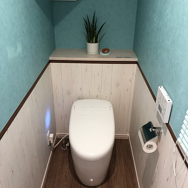 ハートの岩塩 モンステラ グリーンの壁 観葉植物 バス トイレのインテリア実例 19 06 25 09 27 07 Roomclip ルームクリップ ハートの岩塩 モンステラ グリーンの壁 観葉植物 バス トイレのインテリア実例 19 06 25 09 27 07 Roomclip ルームクリップ