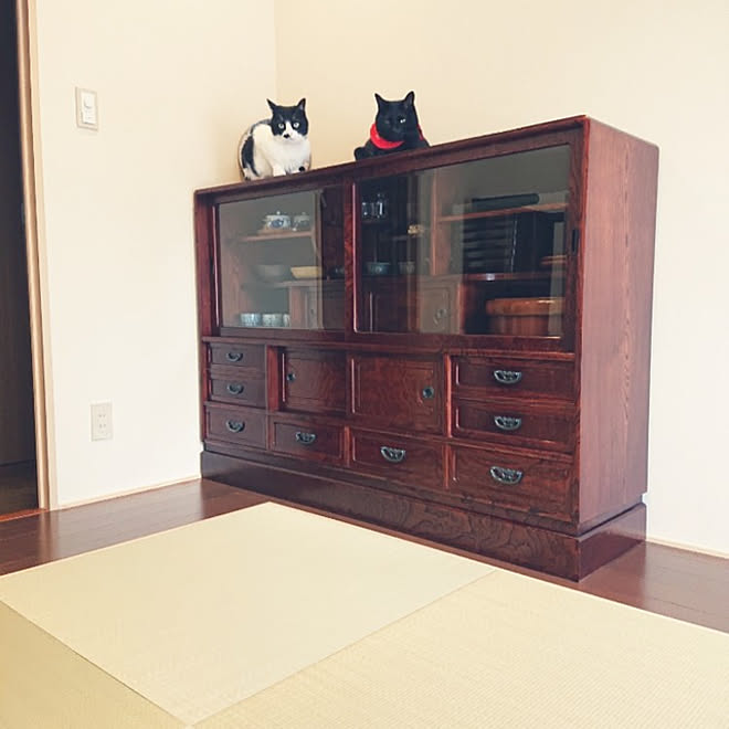 棚 茶箪笥のインテリア実例 21 07 23 07 23 07 Roomclip ルームクリップ