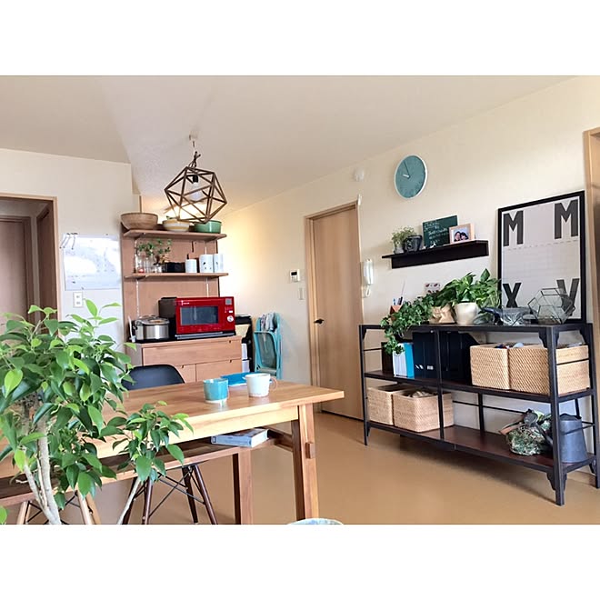 部屋全体/ふたり暮らし/観葉植物/unico /無印良品...などのインテリア実例 - 2015-03-02 10:31:49