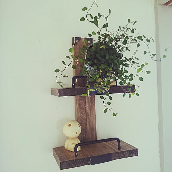 リビング/100均/観葉植物/DIY/廃材...などのインテリア実例 - 2016-03-14 22:01:14