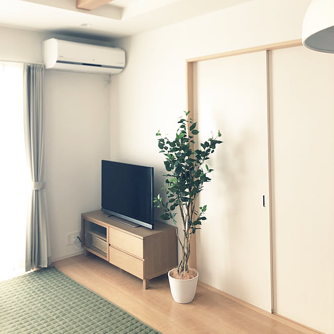 リビング フィカス ニトリ フェイクグリーン 無印良品 建売住宅 などのインテリア実例 18 06 19 13 21 33 Roomclip ルームクリップ