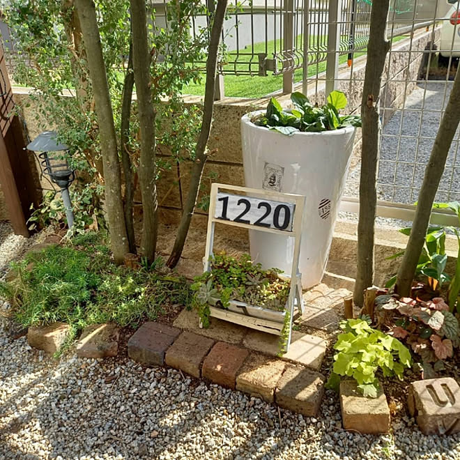 リビング レンガ花壇diy 多肉植物 アジュガ レンガ敷き などのインテリア実例 10 14 21 05 16 Roomclip ルームクリップ