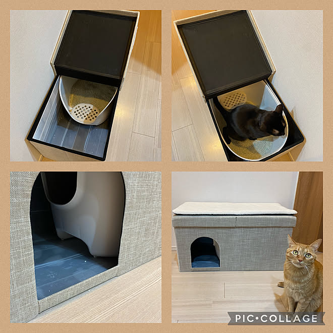 プラダン 猫と暮らす 22 2 22 スツールを猫トイレカバーに いいね 訪問 ありがとうございます などのインテリア実例 22 02 22 11 35 18 Roomclip ルームクリップ