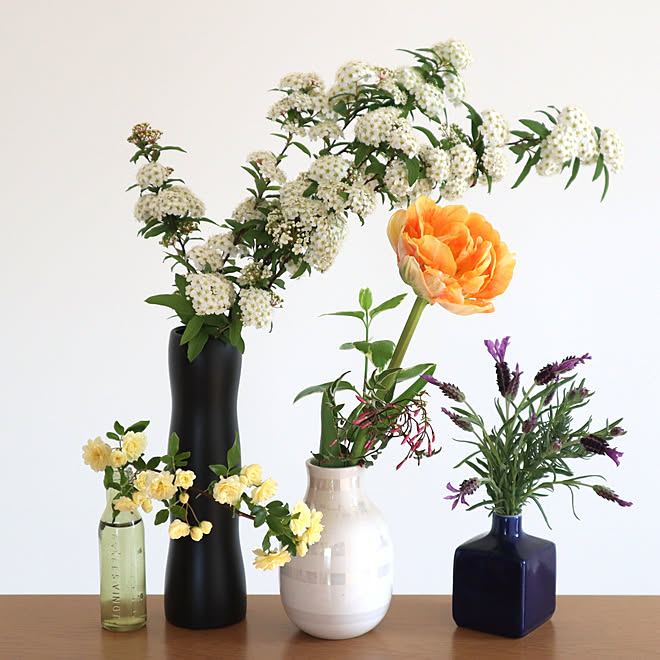 棚 趣味の時間 庭の花 花を飾る モッコウバラ などのインテリア実例 04 30 11 38 25 Roomclip ルームクリップ