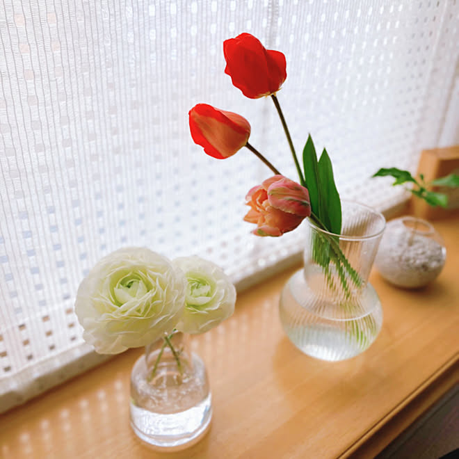 お花のある暮らし お庭のある暮らし お庭の花 ダイソー ハイドロカルチャー などのインテリア実例 22 04 09 15 30 37 Roomclip ルームクリップ
