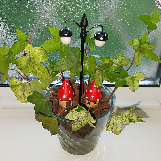 バス トイレ 観葉植物 アイビー ハイドロカルチャー ガーデンピック などのインテリア実例 22 06 15 15 34 47 Roomclip ルームクリップ