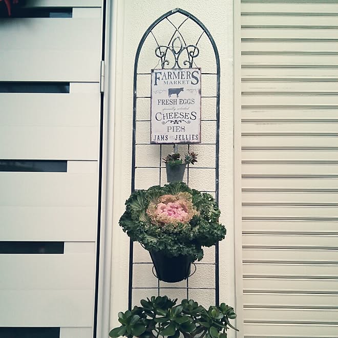 玄関 入り口 多肉植物 葉牡丹 ハンギング ハンギングバスケットスタンド などのインテリア実例 14 12 25 15 58 19 Roomclip ルームクリップ