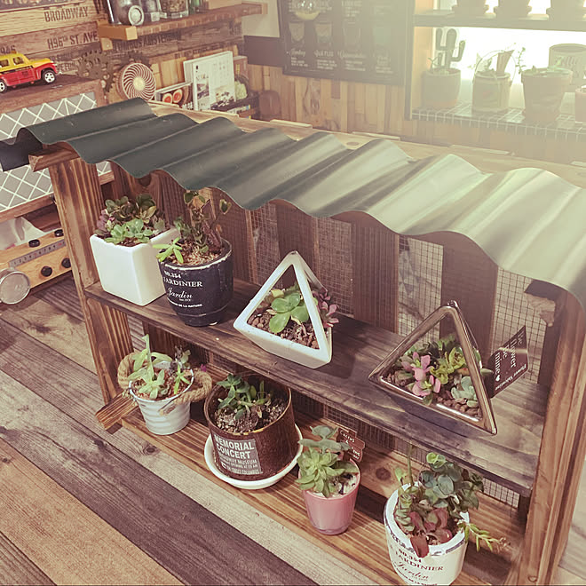 多肉棚 Diy 多肉の家 コレ Diyしたよ カフェ風インテリア 素敵な出会いに感謝 などのインテリア実例 05 18 09 07 18 Roomclip ルームクリップ