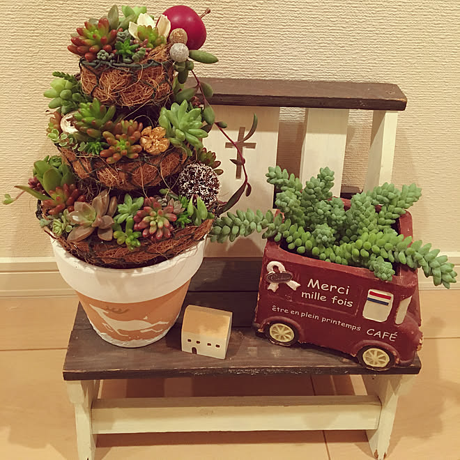 リビング ビアホップ クリスマスツリー 多肉植物 寄せ植え などのインテリア実例 17 12 01 17 28 36 Roomclip ルームクリップ リビング ビアホップ クリスマスツリー 多肉植物 寄せ植え などのインテリア実例 17 12 01 17 28 36 Roomclip ルームクリップ