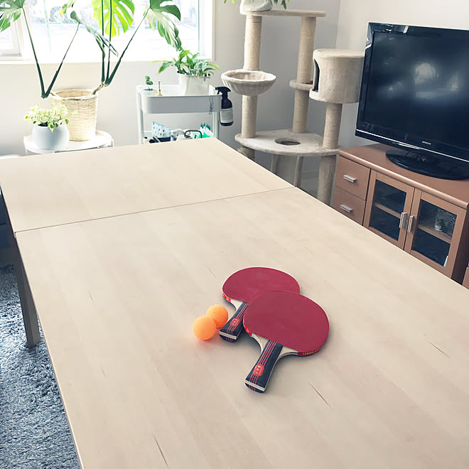 写ってしまったテレビボード 卓球部 圧迫感ありすぎ 観葉植物 キャットタワー などのインテリア実例 05 03 16 05 42 Roomclip ルームクリップ