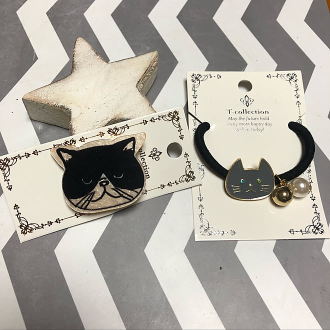 ヘアゴム 猫ピン Meets 猫 バス トイレのインテリア実例 19 03 13 21 13 59 Roomclip ルームクリップ