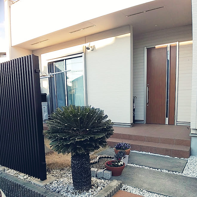 玄関 入り口 ソテツの剪定 少ないもので豊かに暮らす 庭仕事 居心地の良い家 などのインテリア実例 22 02 08 07 52 17 Roomclip ルームクリップ