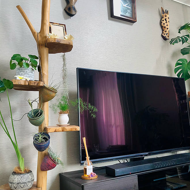 シェルフ テレビ周り 木のある暮らし アジアンテイスト アジアンリゾート などのインテリア実例 21 09 23 18 45 11 Roomclip ルームクリップ