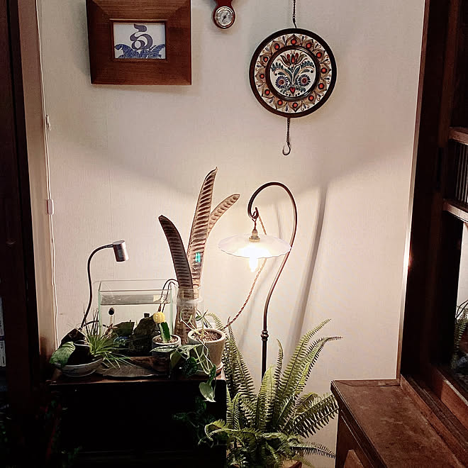 間接照明 フェイクグリーン グリーン 観葉植物のある部屋 レトロ などのインテリア実例 22 04 05 06 45 Roomclip ルームクリップ