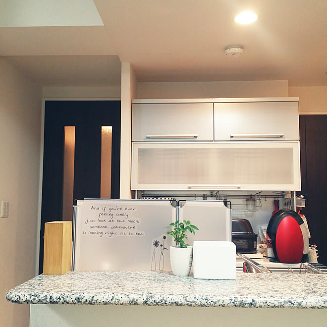 水はね防止 フリーマルチパネル 観葉植物 100均 目隠し などのインテリア実例 18 05 29 12 10 06 Roomclip ルームクリップ