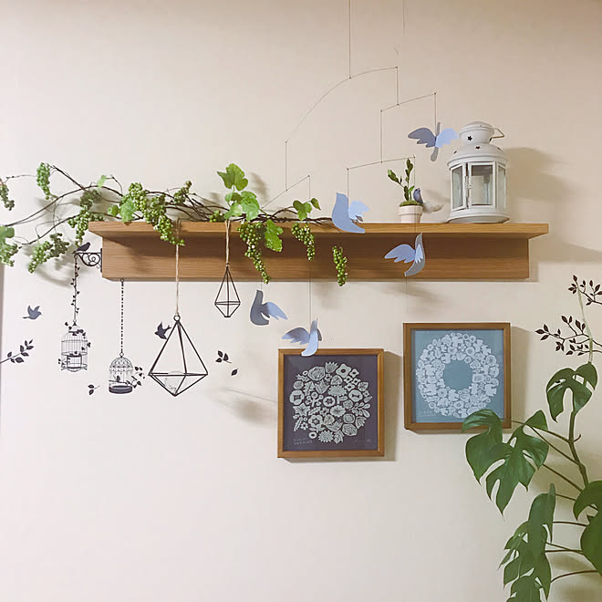 姫モンステラ みどりのある暮らし フェイクグリーン セリアウォールステッカー トリさんモビール などのインテリア実例 01 13 23 07 19 Roomclip ルームクリップ