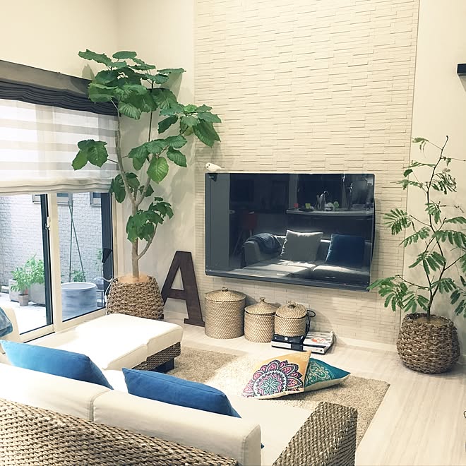 リビング エコカラット ラタン鉢カバー ウンベラータ こどもと暮らす などのインテリア実例 16 11 13 00 34 14 Roomclip ルームクリップ