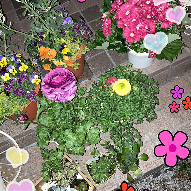 花のある暮らし 花 風水 おうち時間 運が良くなる などのインテリア実例 21 02 02 03 32 48 Roomclip ルームクリップ