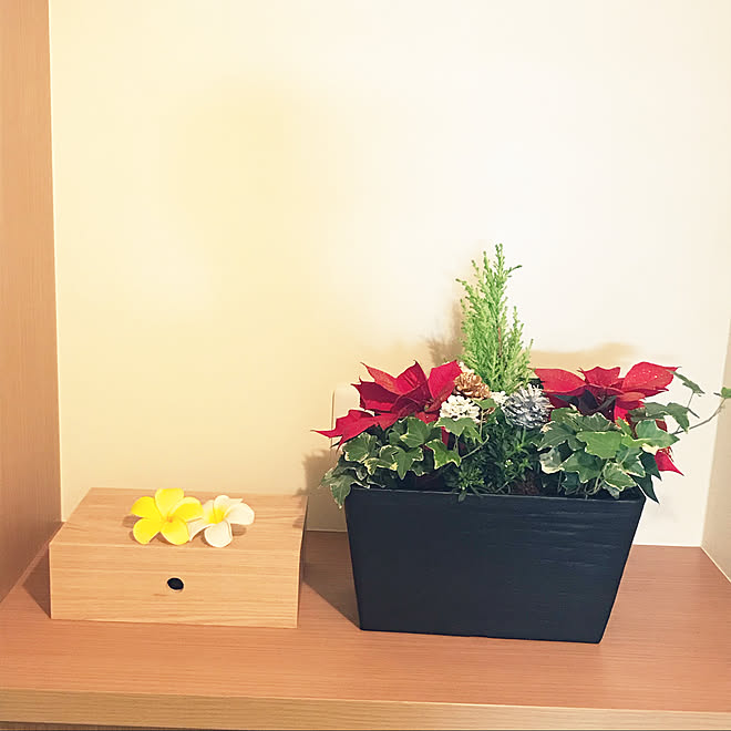 クリスマス コストコ 観葉植物 玄関 入り口のインテリア実例 11 29 13 12 46 Roomclip ルームクリップ クリスマス コストコ 観葉植物 玄関 入り口のインテリア実例 11 29 13 12 46 Roomclip ルームクリップ