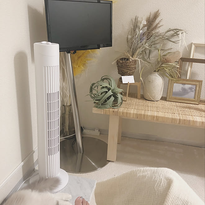 Anatairo テレビスタンド テレビ台 観葉植物 セリア などのインテリア実例 19 07 15 10 17 39 Roomclip ルームクリップ