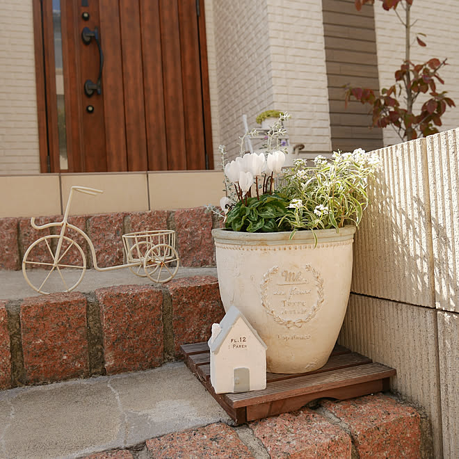 玄関 入り口 お花の寄せ植え シクラメン スーパーアリッサム スーパーアリッサム斑入り などのインテリア実例 19 09 30 11 54 17 Roomclip ルームクリップ