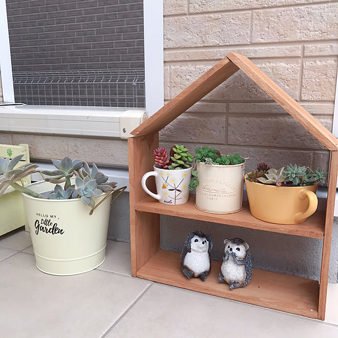100均diy ガーデン雑貨 多肉寄せ植え 多肉棚 多肉植物 などのインテリア実例 21 07 08 12 36 30 Roomclip ルームクリップ