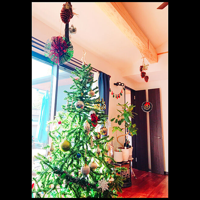 ゴムの木 フィカスアルテシマ クリスマスツリー クリスマス オーナメント などのインテリア実例 11 07 23 36 12 Roomclip ルームクリップ