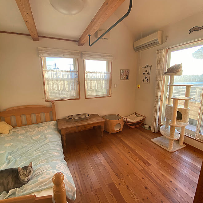 猫部屋 元子供部屋 猫スペース 猫と暮らす キャットタワー などのインテリア実例 04 05 11 34 00 Roomclip ルームクリップ 猫部屋 元子供部屋 猫スペース 猫と暮らす キャットタワー などのインテリア実例 04 05 11 34 00 Roomclip ルームクリップ