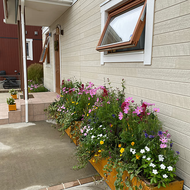 花 外構 スウェーデンハウス 部屋全体のインテリア実例 22 01 15 01 42 59 Roomclip ルームクリップ