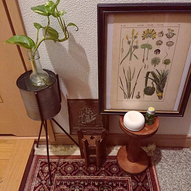 玄関 入り口 1k 一人暮らし 緑のある生活のインテリア実例 19 07 09 09 34 28 Roomclip ルームクリップ