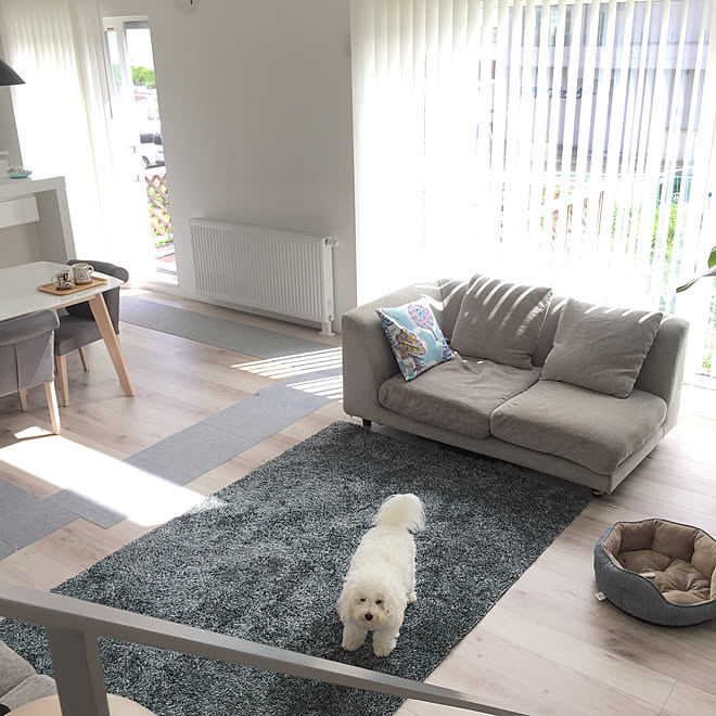 リビング ブルーグレーのラグ グレーインテリア 吹き抜け ウッドデッキ などのインテリア実例 17 08 18 21 34 52 Roomclip ルームクリップ