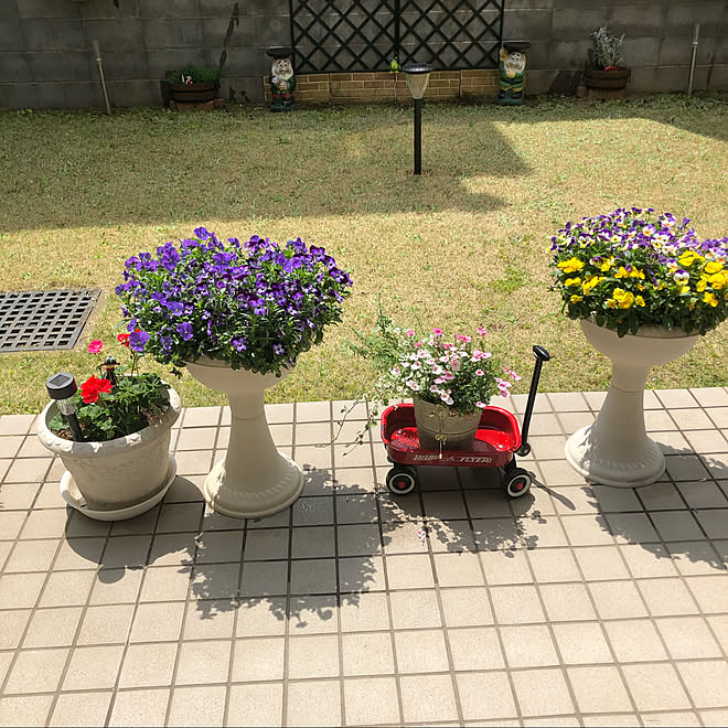 北欧インテリア/Amazon/お花がある暮らし/良いね、コメント有難う^_^/セリア&hellip;などのインテリア実例 20200505 11