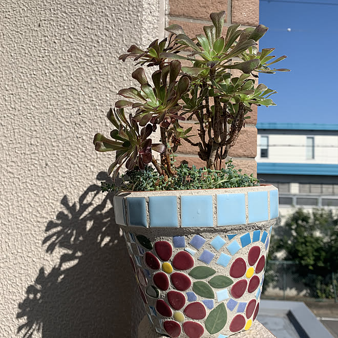 わたしのハンドメイド 秋 手作り雑貨 マンション ベランダガーデニング モザイクタイル などのインテリア実例 11 04 11 28 41 Roomclip ルームクリップ