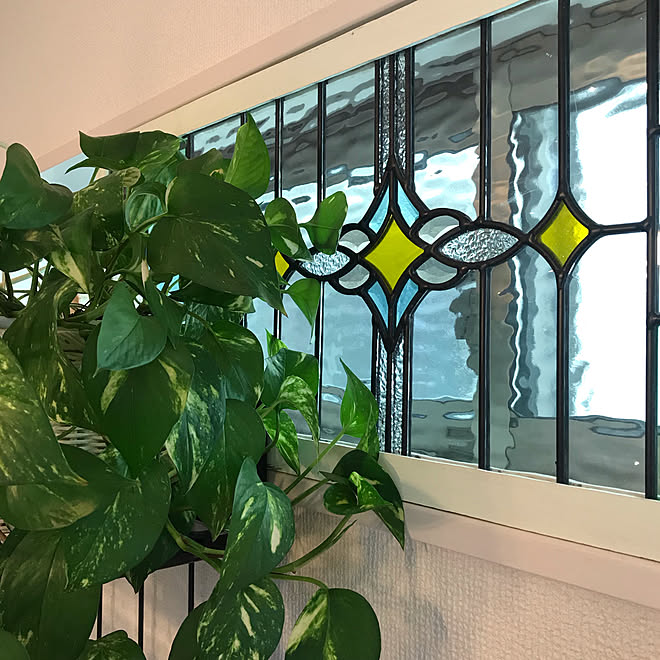 シンデレラフィット ポトス 横長窓 ステンドグラス ガラス雑貨 などのインテリア実例 08 19 10 13 02 Roomclip ルームクリップ