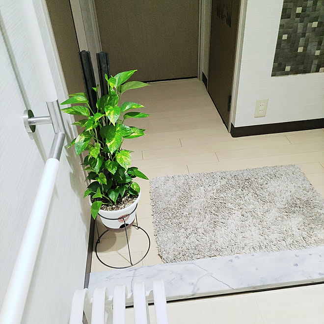 玄関 入り口 シンプル マンション暮らし 観葉植物 玄関の椅子 などのインテリア実例 21 09 08 06 46 51 Roomclip ルームクリップ
