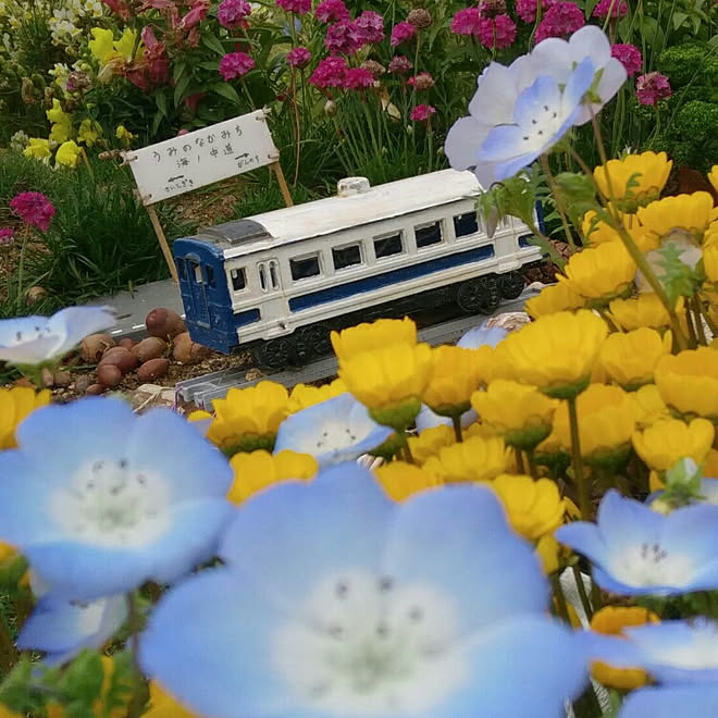 バス トイレ お花畑 海ノ中道海浜公園 カメラマンは娘ちゃん 遠足のヒトコマのインテリア実例 19 04 27 21 46 16 Roomclip ルームクリップ