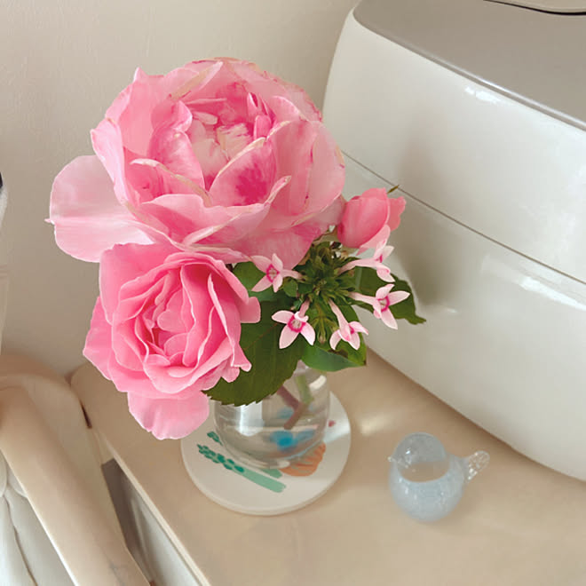 ピンクの薔薇は名前分かりません ピンクの薔薇 義実家からの頂き物 バラ 連投してます ﾍﾟｺﾘ などのインテリア実例 11 08 08 29 40 Roomclip ルームクリップ